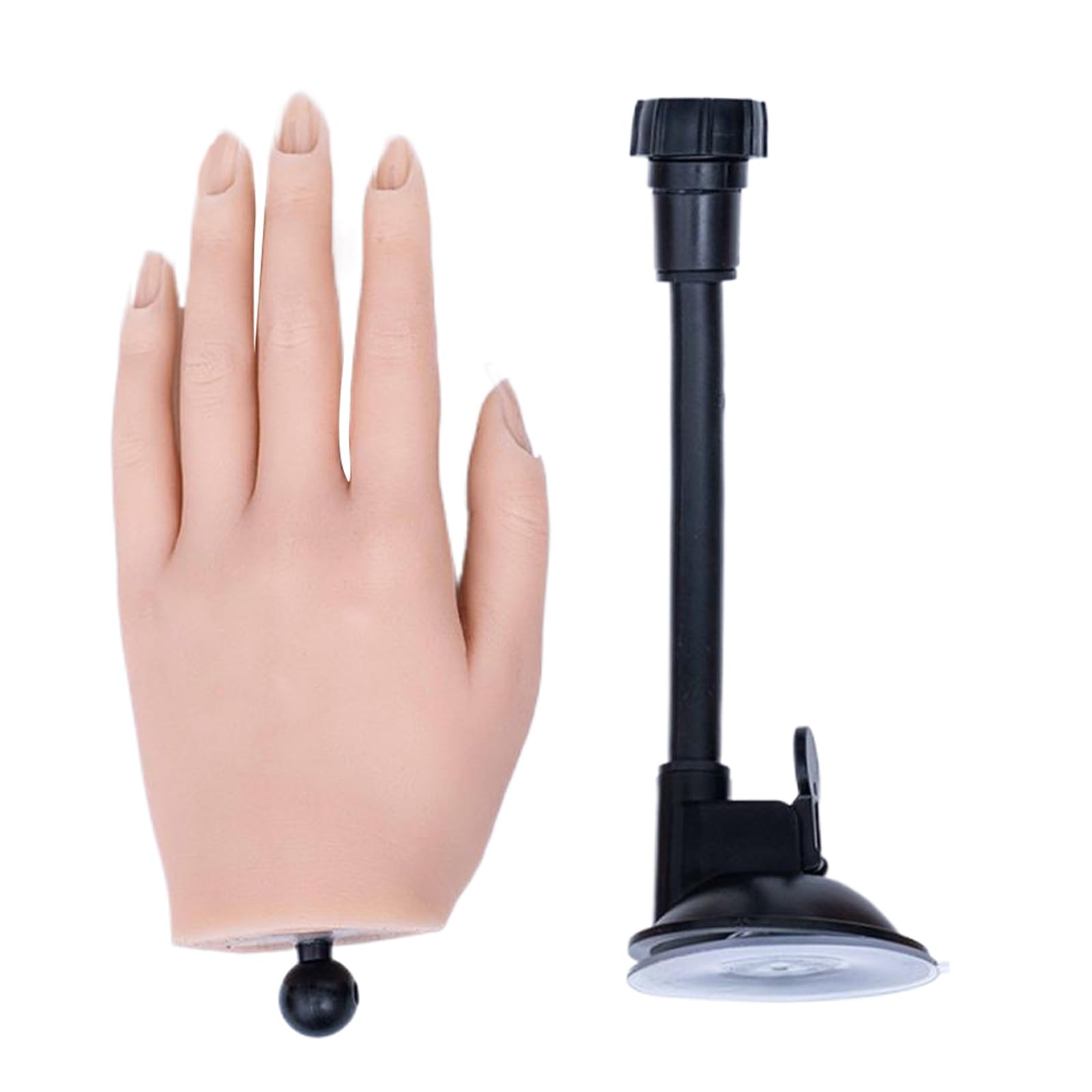 Übungshand Acryl Übungshand Gefälschte Hand Die Flexible Hand Übungsmannequin Hand