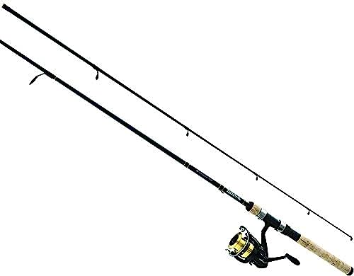 Daiwa dsk25-b/F662 M d-Shock Spule & Stab Combo 6 '15,2 cm Medium Aktion, schwarz/Gold