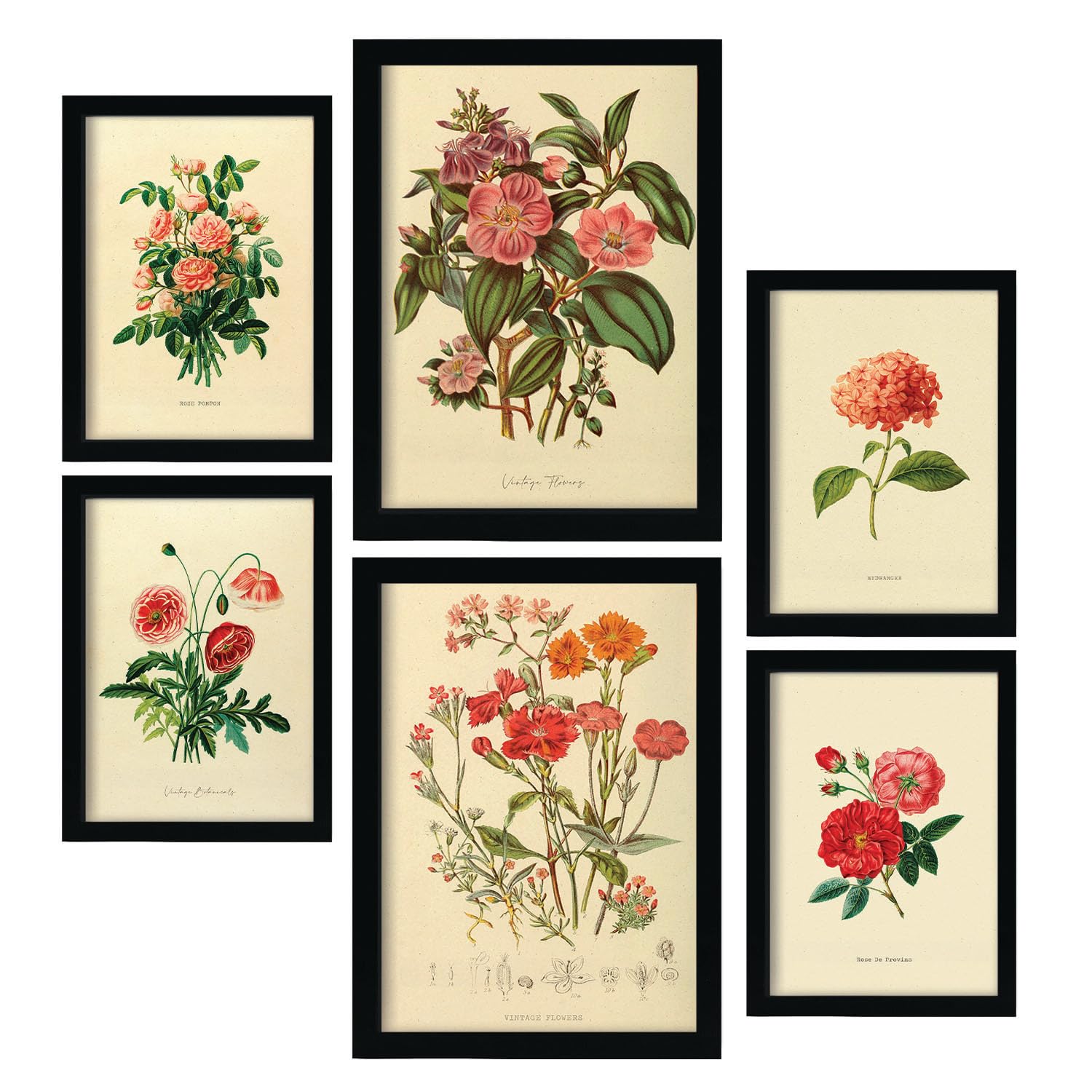 Nacnic 6er-Set Rosenrosa Blumen Poster. In Vintage -Drucke. Ästhetische Deko-Drucke für Ihr Wohnzimmer, Schlafzimmer, Zuhause Größen A4 und A3