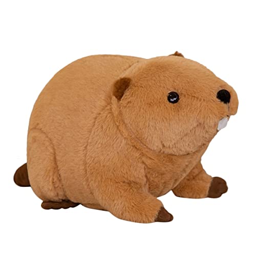 DANAIM Simulation Biber Plüschtier 17,7 Zoll Biber Kuscheltiere Spielzeug, Realistische Biber Wildtierpuppe Niedliches Weiches Kissen Kinder Geschenk Heimdekorationen(Brown,45cm)