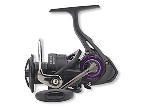 Daiwa Rolle Prorex LT 2500 D Angelrolle