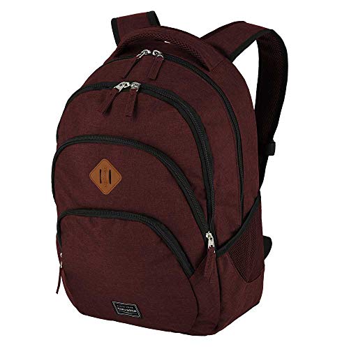 Travelite Rucksack Handgepäck mit Laptop Fach 15,6 Zoll, Gepäck Serie BASICS Daypack Melange: Modischer Rucksack in Melange Optik, 096308-70, 45 cm, 22 Liter, bordeaux (weinrot)