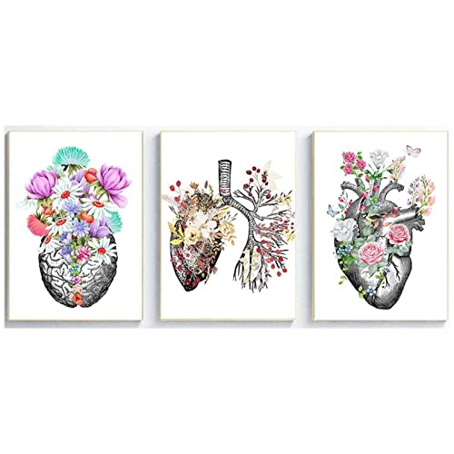 Anatomisches Organ Vintage Blumen Poster Menschliche Anatomie Bild Gehirn Herz Lunge Anatomie Wand Bilder Gemälde Medizinische Raumdekoration Rahmenlos 40×50cm×3 Stück