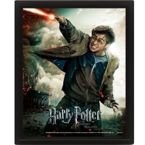 Pyramid Harry Potter Cadre 3D LENTICULAIRE Expelliarmus