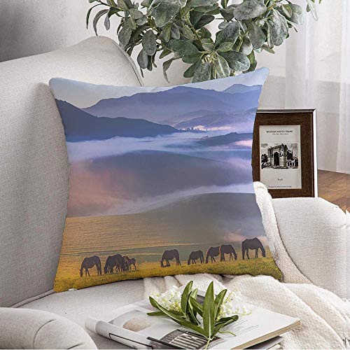 STOOKER Pillow Case Lake Thirsk Field Gormire Vale Spring Yorkshire York Sun Sutton Bank Nature Serene Parks Outdoor Decorative Pillow Cover Throw Pillows Cover for Sofa Bench Couch 16x16 Inch