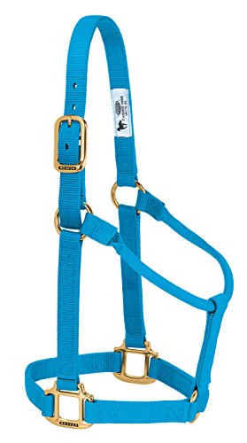 Weaver Leather Original Non-Adjustable Nylon Horse Halter, Small, Hurricane Blue