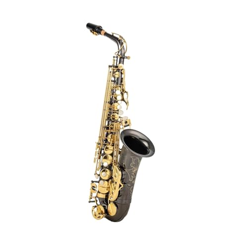 Alto Eb Tune Saxophon Messing Schwarz Nickel Gold Oberfläche Lack Musikinstrument E-Flat Sax (Color : 02)