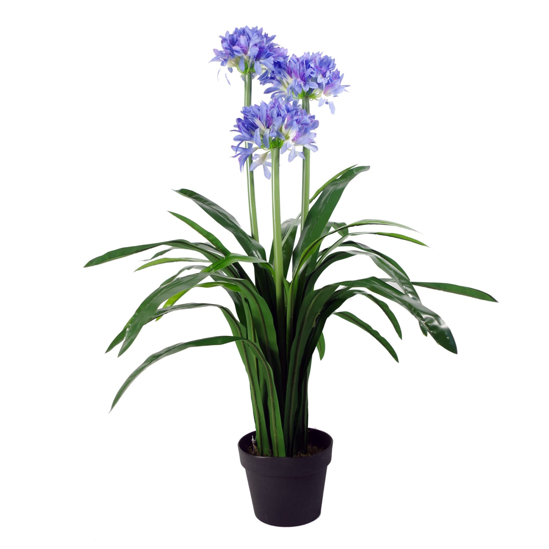 Leaf Blüte Design UK Künstlicher Blütenbaum, Blauer Agapanthus, 90 cm, Seide