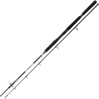 Daiwa BG Pilk 2,40m 50-165g