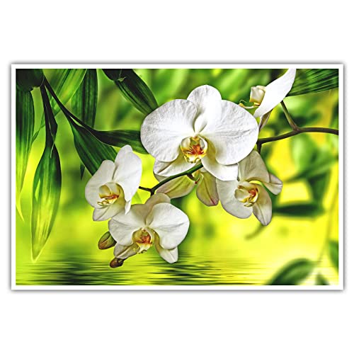 Orchideen - Poster ohne Rahmen - Bild Wandbild Kunst Druck Bilder Wand Deko Wandposter Modern XXL Wohnzimmer (80 x 60 cm, Poster)