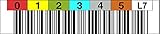 LTO 7 Label horizontal Nummernkreis 000000-000099