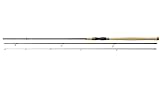 Daiwa Aqualite Float 4.20m 10-35g