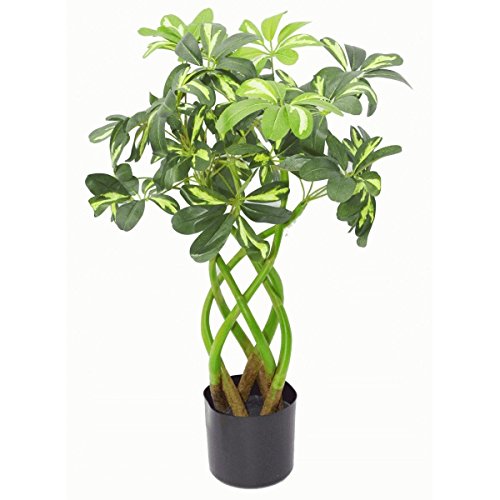 Leaf Kunstpflanze, 70 cm, Bonsai Twist LEAF-7002, 70cm Bonsai Twist, 70cm Bonsai Twist