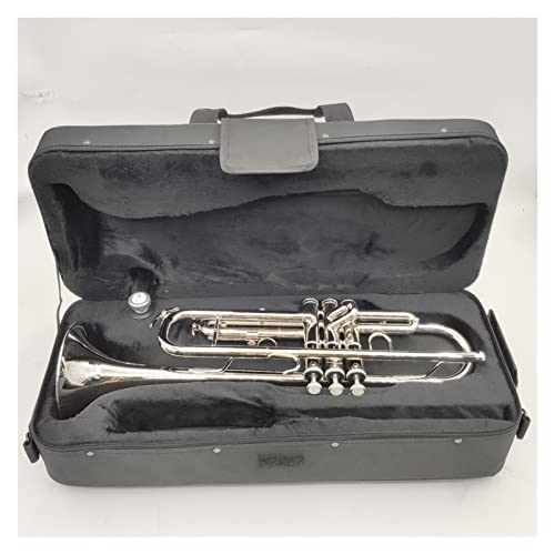 Goldene Silver B Flaches Messing-Trompeten-Windinstrument geeignet für Anfänger, um Bands und professionelle Trompete-Trompeten zu üben (Color : Silver)