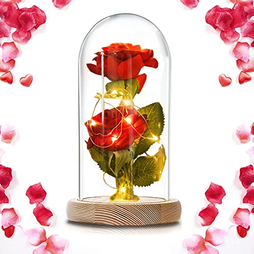 ALLOMN Rose, Seide Rose Schönheit und das Biest Rose Kit mit Glaslampenschirm 20 LED Warmweiß Valentinstag Muttertag Weihnachten Geburtstagsgeschenk