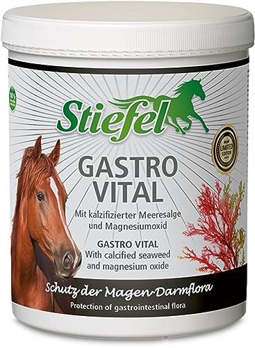 Stiefel Gastro Vital 1kg zum Schutz der Magen-Darmflora