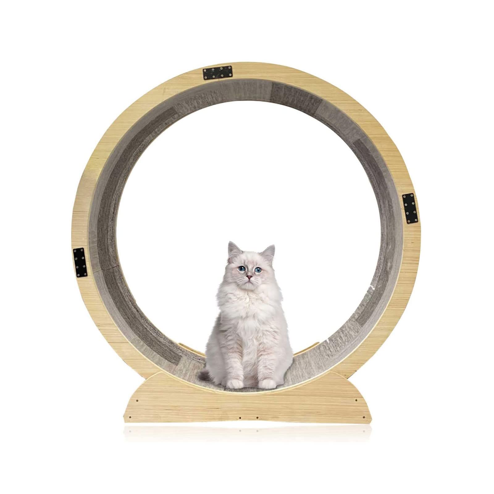 Cat Wheel Cat Laufband Rad Cat Wheel Exerciser mit Sicherheitsverschluss für alle Katzen geeignet Geräuschlos Linderung von Bewegungsmangel Katzenspielzeug