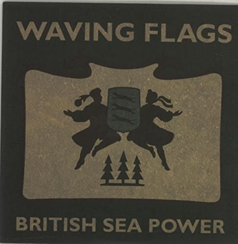 Waving Flags - 1st [Vinyl Single]