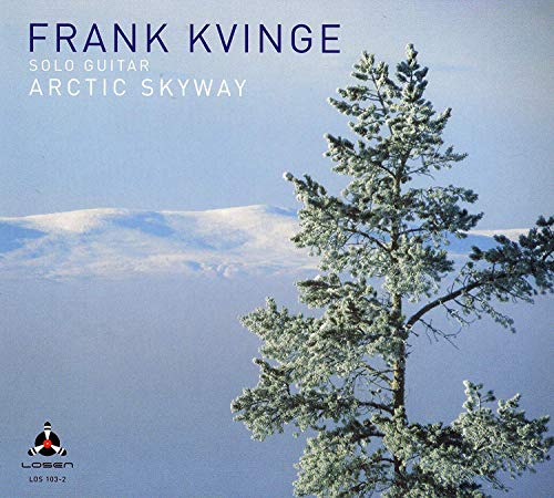 Artic Skyway