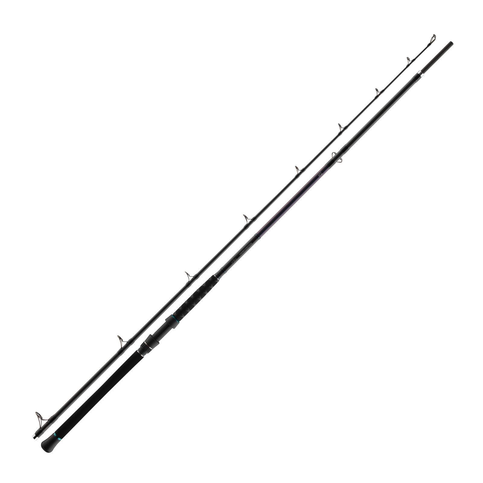 Daiwa Powermesh Catfish Boje 3,25m 150-500g Welsrute