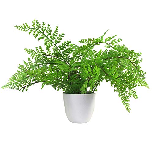 Leaf Mini Künstlicher Farn in Topf, 30 cm, Kunststoff, Royal Fern