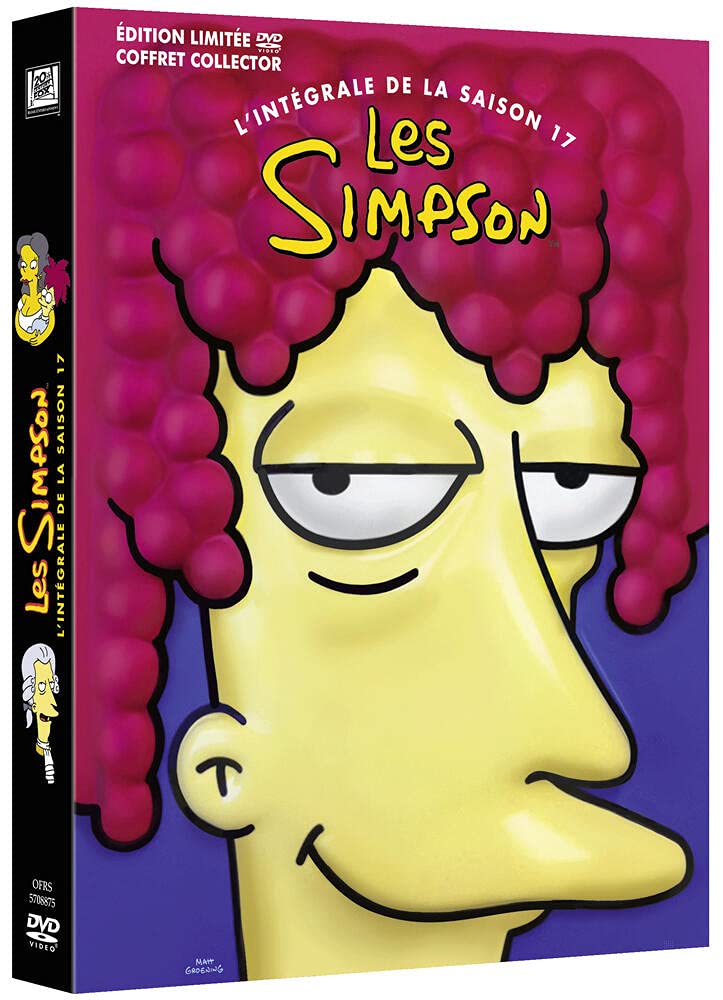 Coffret les simpson, saison 17 [FR Import]