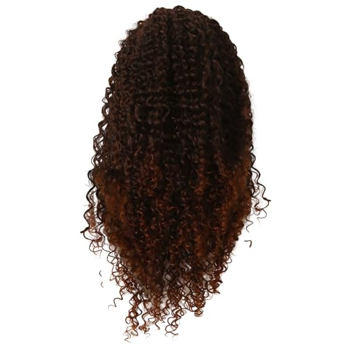 Torribala Europäische und Amerikanische Frauen 16 Lockiges Haar Chemiefaser Kleine Fläche Handgewebte Perücke Braune Damen-Lace-Front-Perücken