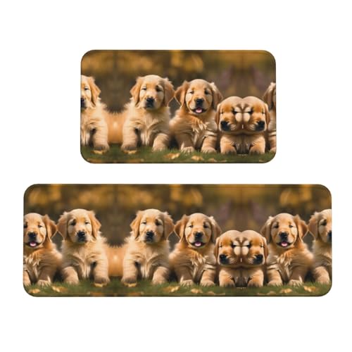 YQxwJL Golden Retriever Hunde-/Welpen-Teppiche, rutschfeste Küchenmatte, 2er-Set, bequeme Standmatten für Küche, Büro