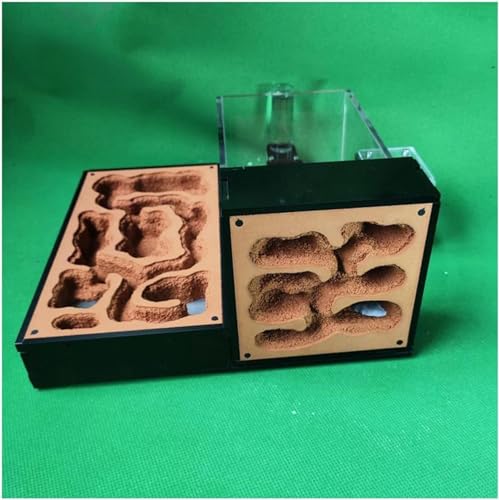 Acryl Ameisenfarm Ameisen Haus Gips Insektenvilla Ameisennest Ameisenhaufen Werkstatt Ant Nest Kit Formicarium Display Box-1