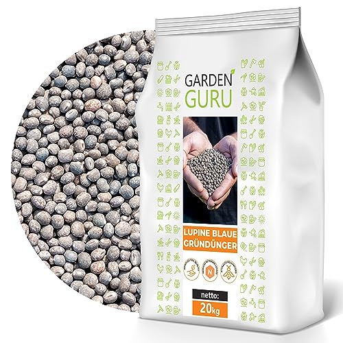 Lupine blau 20kg Lupinus Gründüngung Bodenverbesserung Zwischenfrucht