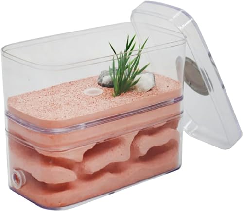 Gips Ameisenfarm Ameisennest Formicarium Display Box Fütterungshaus Für Ameisen Insekten Züchten Haus Ameisen Farmen Set Villa Ant Nest Geburtstagsgeschenk Geschenk-1