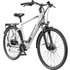 Telefunken E-Bike Trekking XC941 Expedition unisex 28 Zoll RH 50cm 24-Gang 417 Wh granit