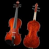 Standard Violine Violine Spielen Erwachsene Professionelle Handgemachte Vogel Auge Wind Violine