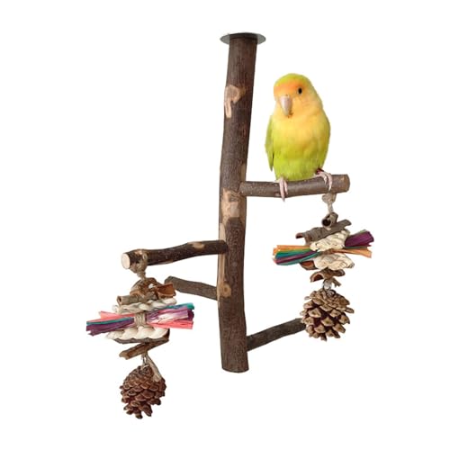 Holz Vogelständer Sitzstange Sicheres Und Komfortables Wohnumfeld Für Vögel Geeignet Für Vogelliebhaber Und Zuchteinrichtungen Papageienständer Spielzeug Vogelleiter Sitzstange Käfig