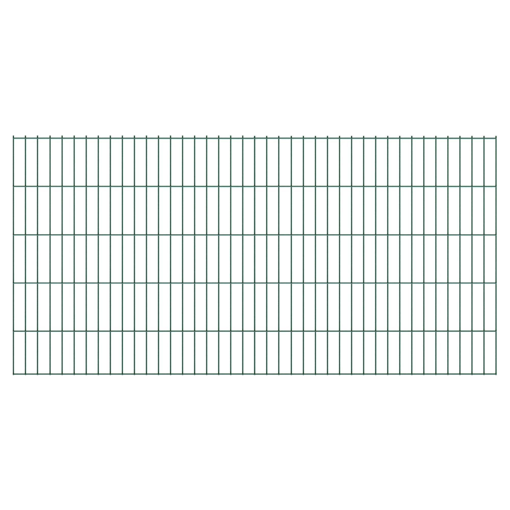 TETZNER&JENTZSCH Basic Doppelstabmatte GRÜN 200 x 100 cm, 6005, Stäbe 6/5/6, MW 50/200 mm