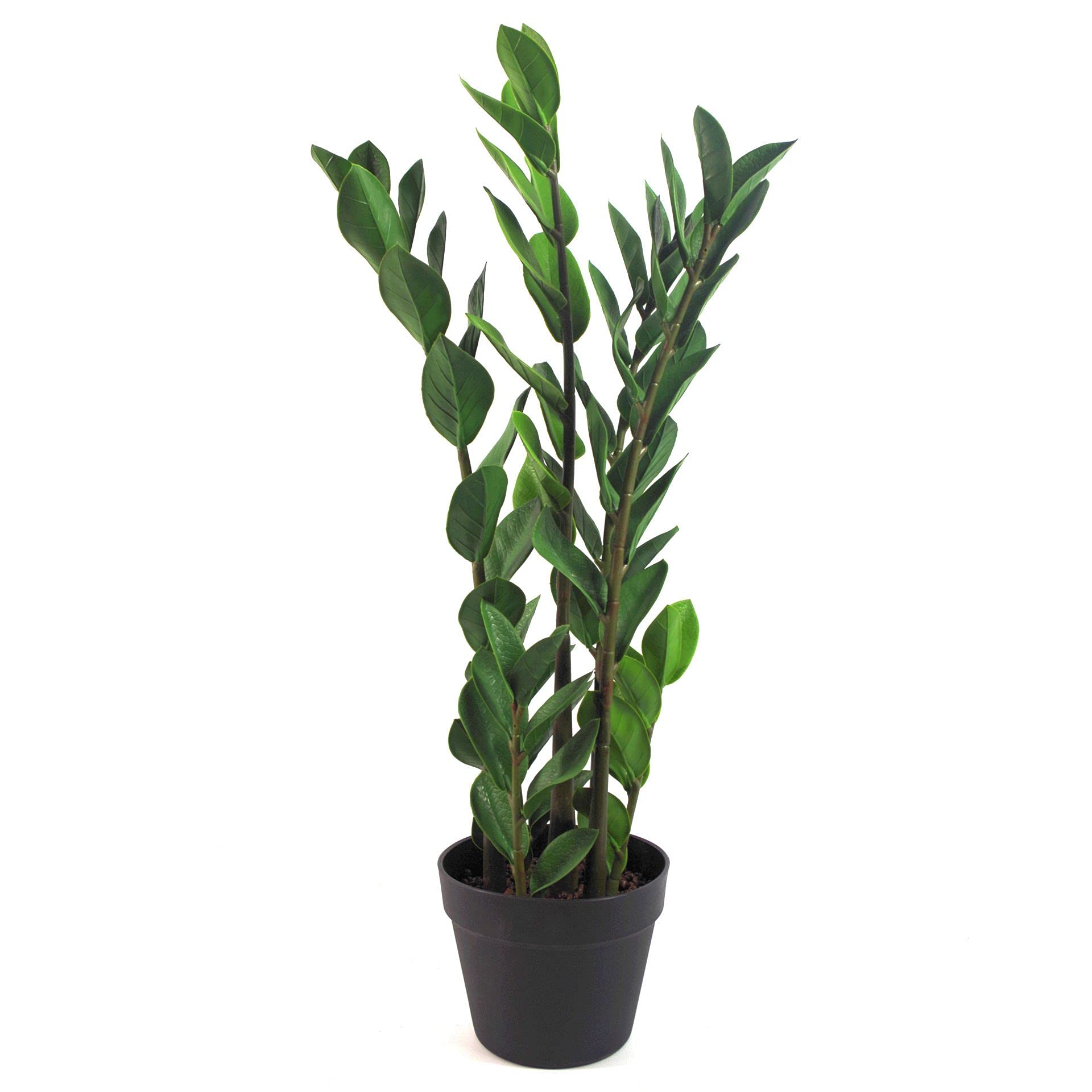 Leaf Design Tropische Kunstpflanzen Tropical, 75 cm Zamioculcas, 75 cm