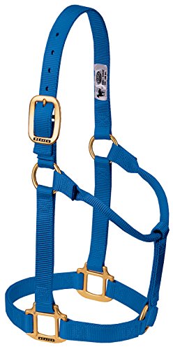 Weaver Leather Original Non-Adjustable Nylon Horse Halter, Large, Blue