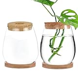 Plant-Terrarium 2 Prozent transparent Deckelanlagen-Propagationsstation mit Tray Hydroponic DIY-Ausbreitungsgläser für Home Office, Drop-förmige Terrassenartikel