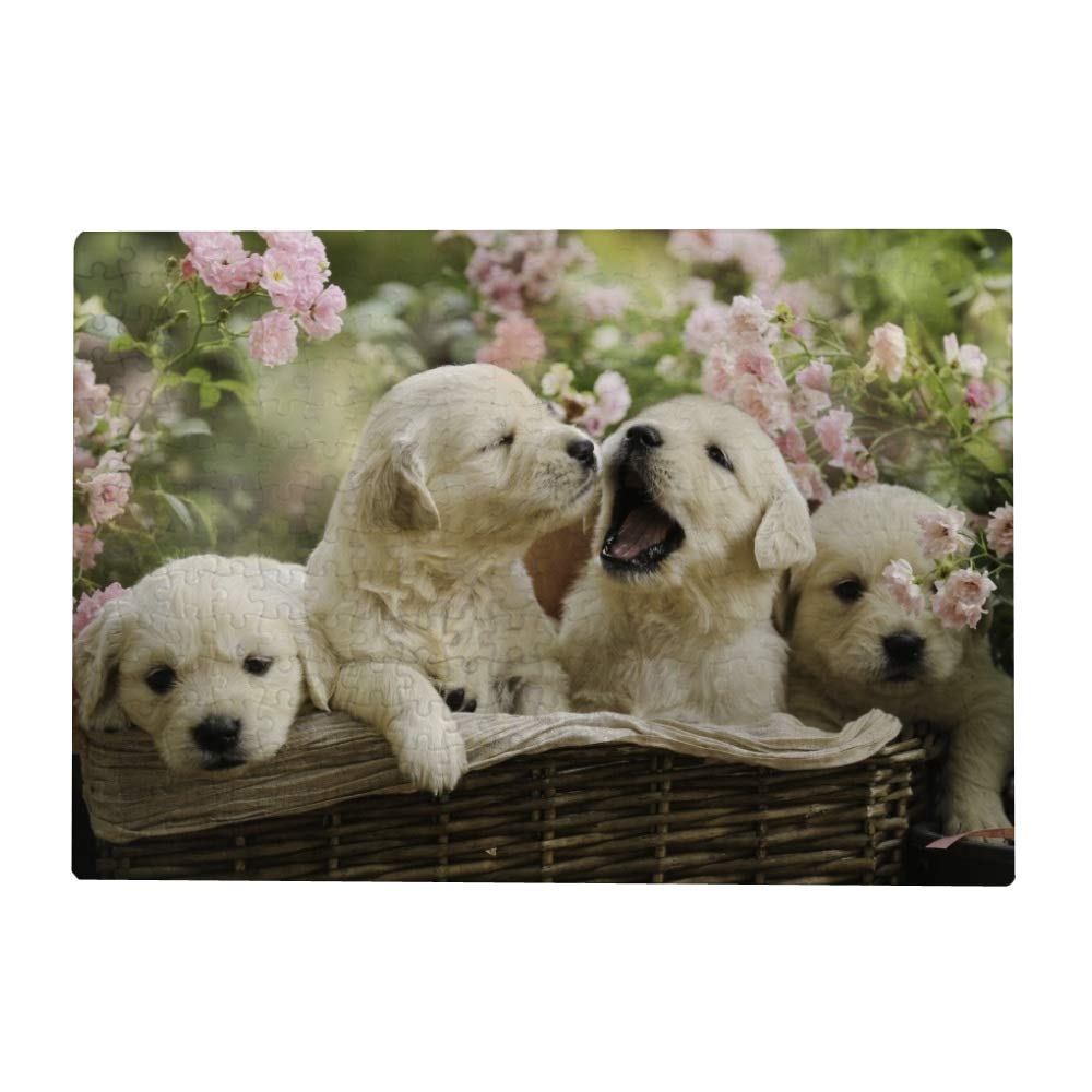 1000 Teile Puzzle für Erwachsene - Golden Retriever Welpen Hund Blume