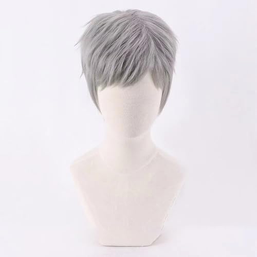 WCCNKK Anime Cosplay Perücke, PERSONA3 Akihiko Sanada Perücke, Silbergraues Kurzes Haar, Mit Perückenkappe, Für Party Alltag Halloween Perücke Cosplay, Dekorative Geschenke