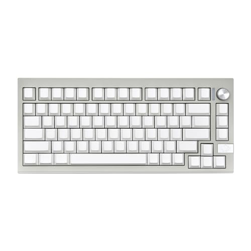 PLCPDM Minimalistische Leere Tastenkappen 137KeysCherryheight Keycaps DyeSUB MXSwitches Mechinery Tastenkappen Ersatz