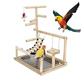 Papageien-Sitzstangenständer, Papageien-Spielständer | Vogelspielhalle - Holzbarsch-Laufstallleiter, Vogelpapageien-Spielstand, Spielgymnastik, buntes Vogelspielzeug für Nymphensittiche, Wellensittich