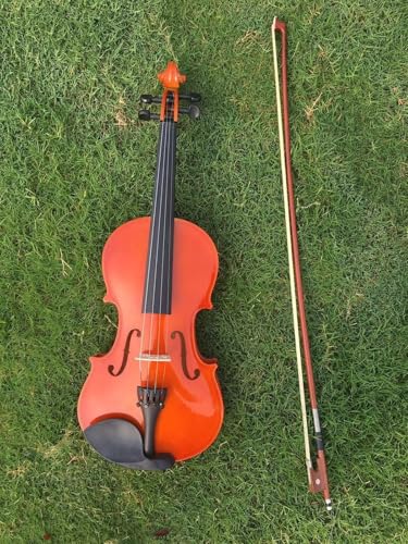 Standard Violine Geigenübungen Für Anfänger Geigenspiel 4/4 Komplette Konfiguration Dekorative Requisiten(Red)