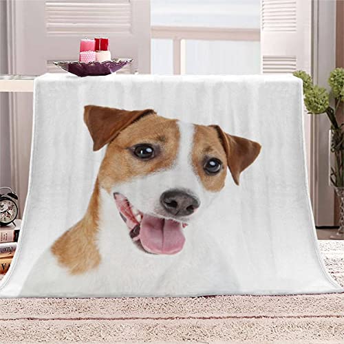 Kuscheldecke Erwachsene 3D Jack Russell Terrier Flanelldecke Sherpa Fleecedecke Motiv Decke 150x200 cm Mädchen Jungen Tierischer Hund Weiche Microfaser Warmer Wohndecke Bettüberwurf Sofatdecke