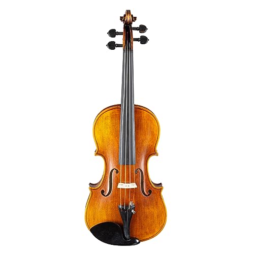 Stentor Arcadia Violine 4/4 Instrument Allein (Vorbereitet)