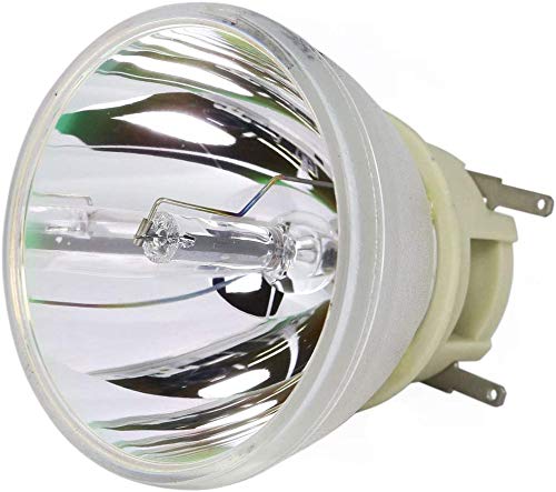 RLC-118 kompatible Bare Bulb Projektor Lampe ohne Housinig für ViewSonic PX706HD/VS17266