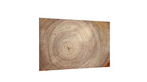 ALLboards Glas Magnettafel Baumstamm Natur Baumkern 90x60cm Glasbild Memoboard aus Glas Glastafel mit Baumstamm-Motiv Magnetwand zum Beschriften Magnetische Tafel Wanddekoration Wandbild