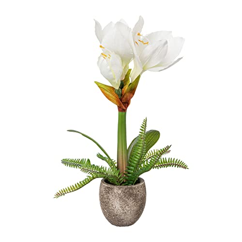 wohnfuehlidee Kunstpflanze Amaryllis, Farbe weiß, inkl. Zement-Topf, Höhe ca. 35 cm