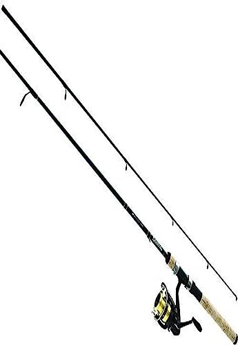 Daiwa D-Shock DSK FW Spin PMC, 6'/Medium Light, Black/Gold