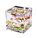 Kleiner Tank Aquarium, tragbare Fischschale Tank, Quadratisches transparentes Glas Mini-Aquarium for den Haushalt im Büro Wassergrastank Betta-Fische Zierfische Kleines Aquarium(5.91IN)